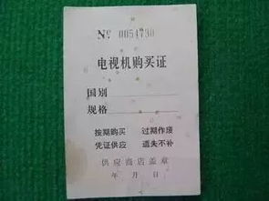 如果給你一臺(tái)時(shí)光機(jī),你是想回到過(guò)去還是去往未來(lái)