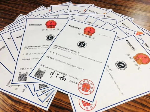 商標(biāo)注冊(cè) 商標(biāo)設(shè)計(jì) 商標(biāo)咨詢 全國(guó)一條龍代辦